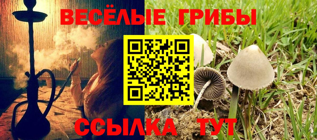 Псилоцибиновые грибы MAGIC MUSHROOMS Россошь